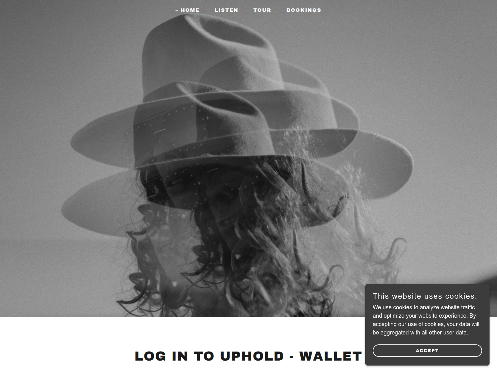 Screenshot of suphol-logicc.godaddysites.com