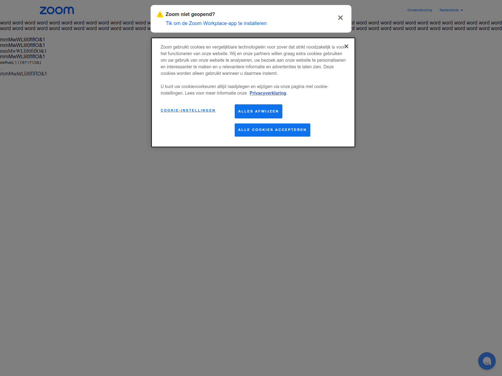 Screenshot of zoomwithjudy.com