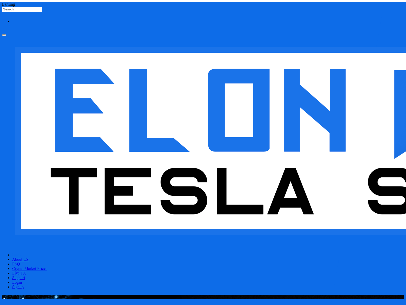 Screenshot of elontesstocks.com