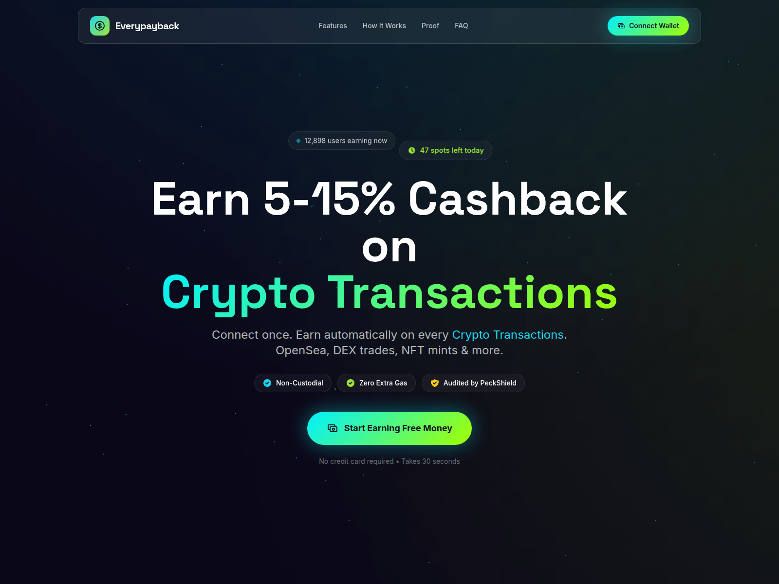 Screenshot of everypayback.com