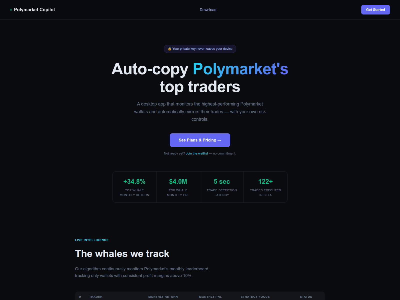 Screenshot of polymarketwhales.xyz