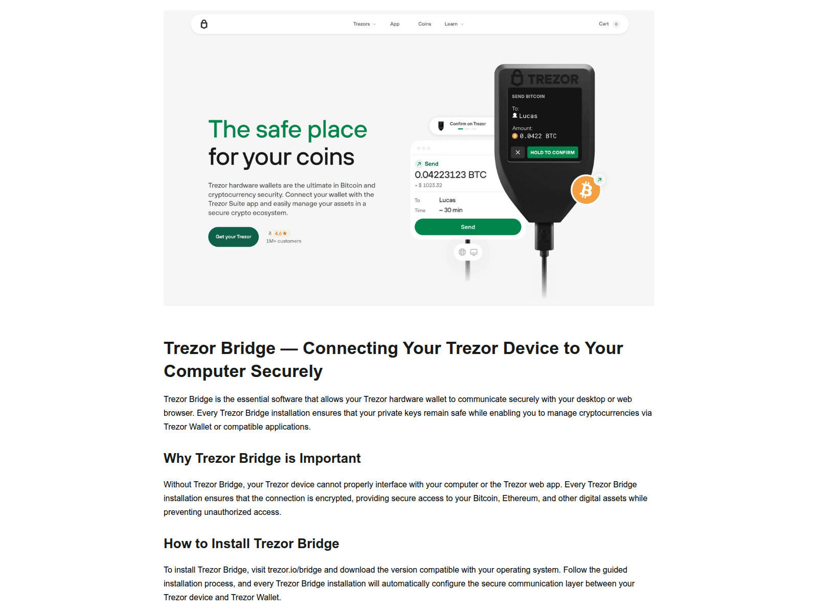 Screenshot of bridge-terzors-cdn-io.pages.dev