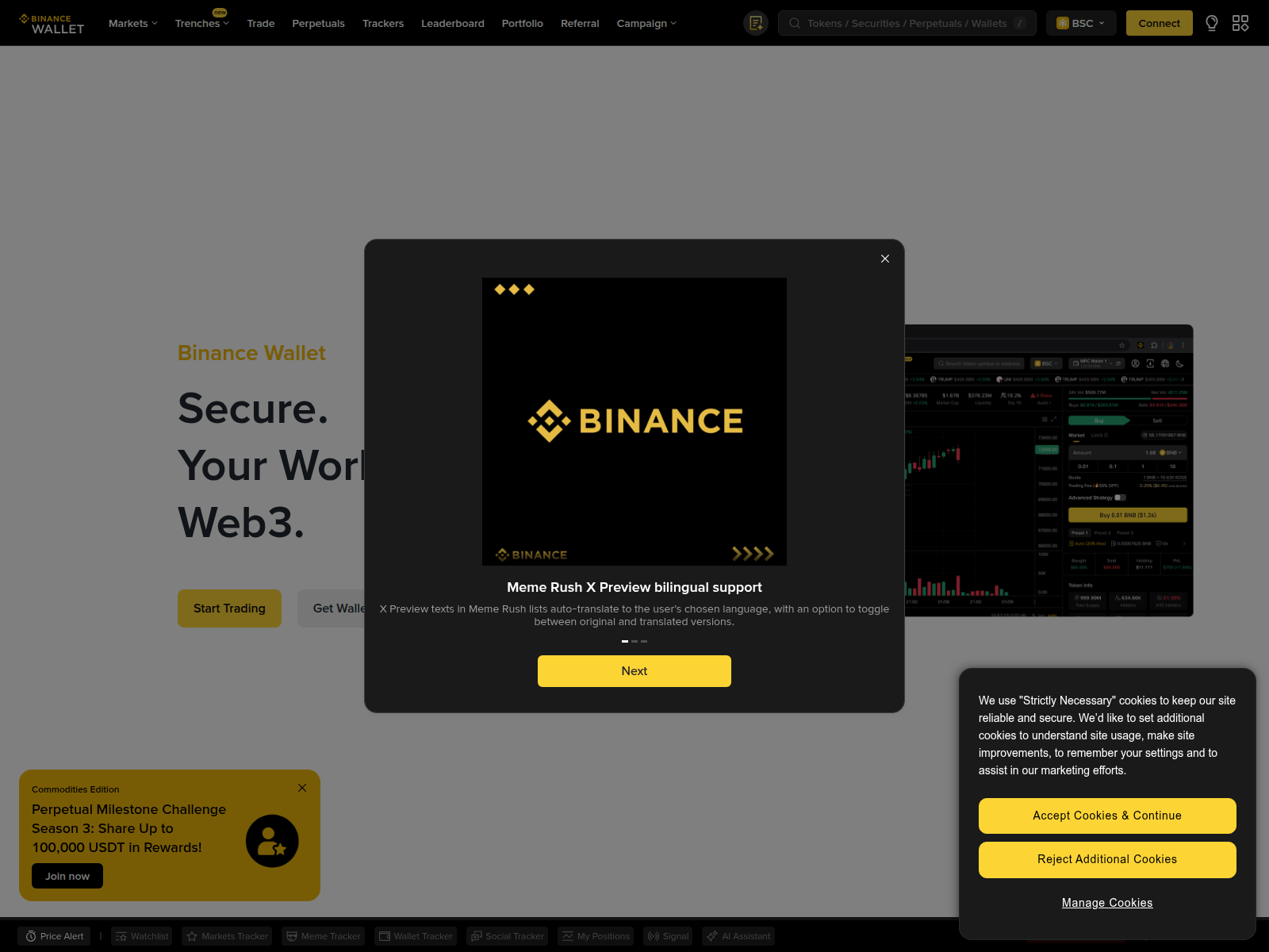 Screenshot of legitimation-binance.com
