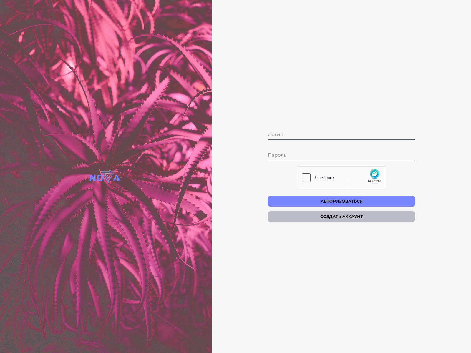 Screenshot of nvmp13.live