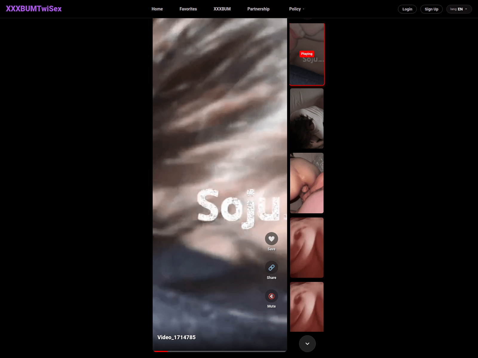 Screenshot of xxbum-twisex.com