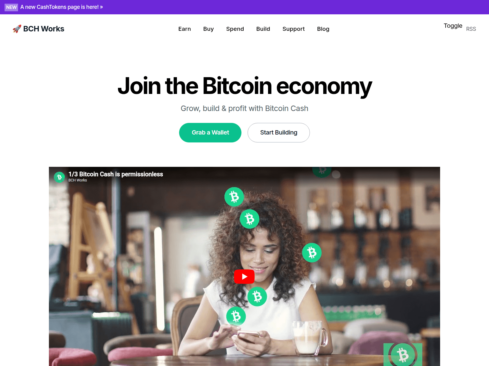 Screenshot of bitcoincashsite-www.pages.dev