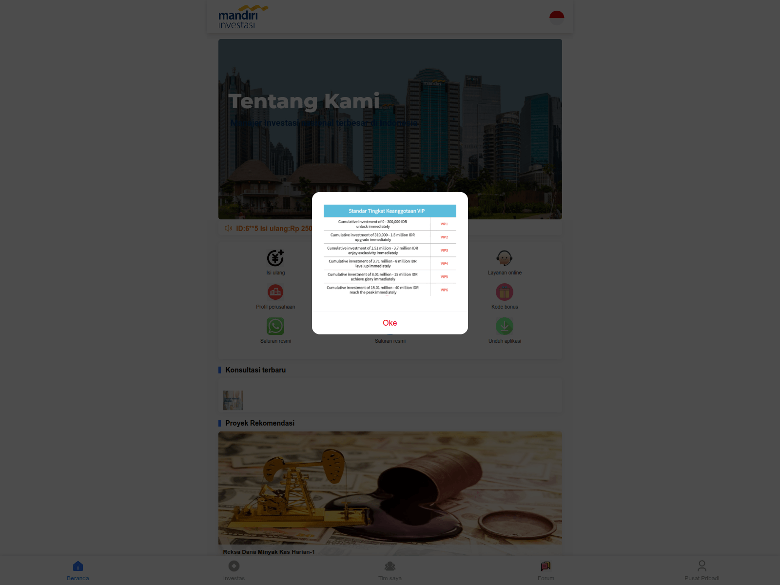 Screenshot of minvestfin.com
