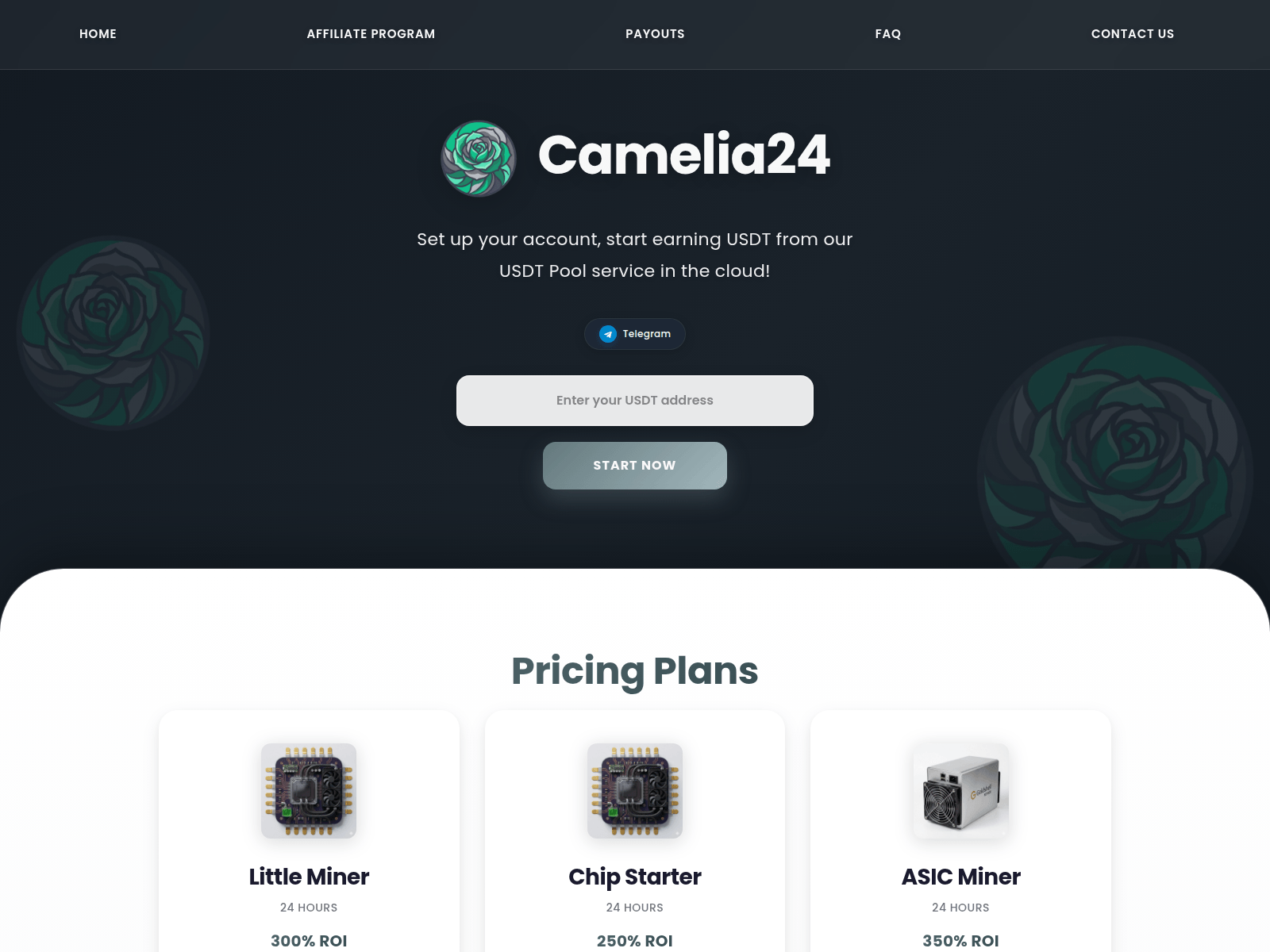 Screenshot of camelia24.vip