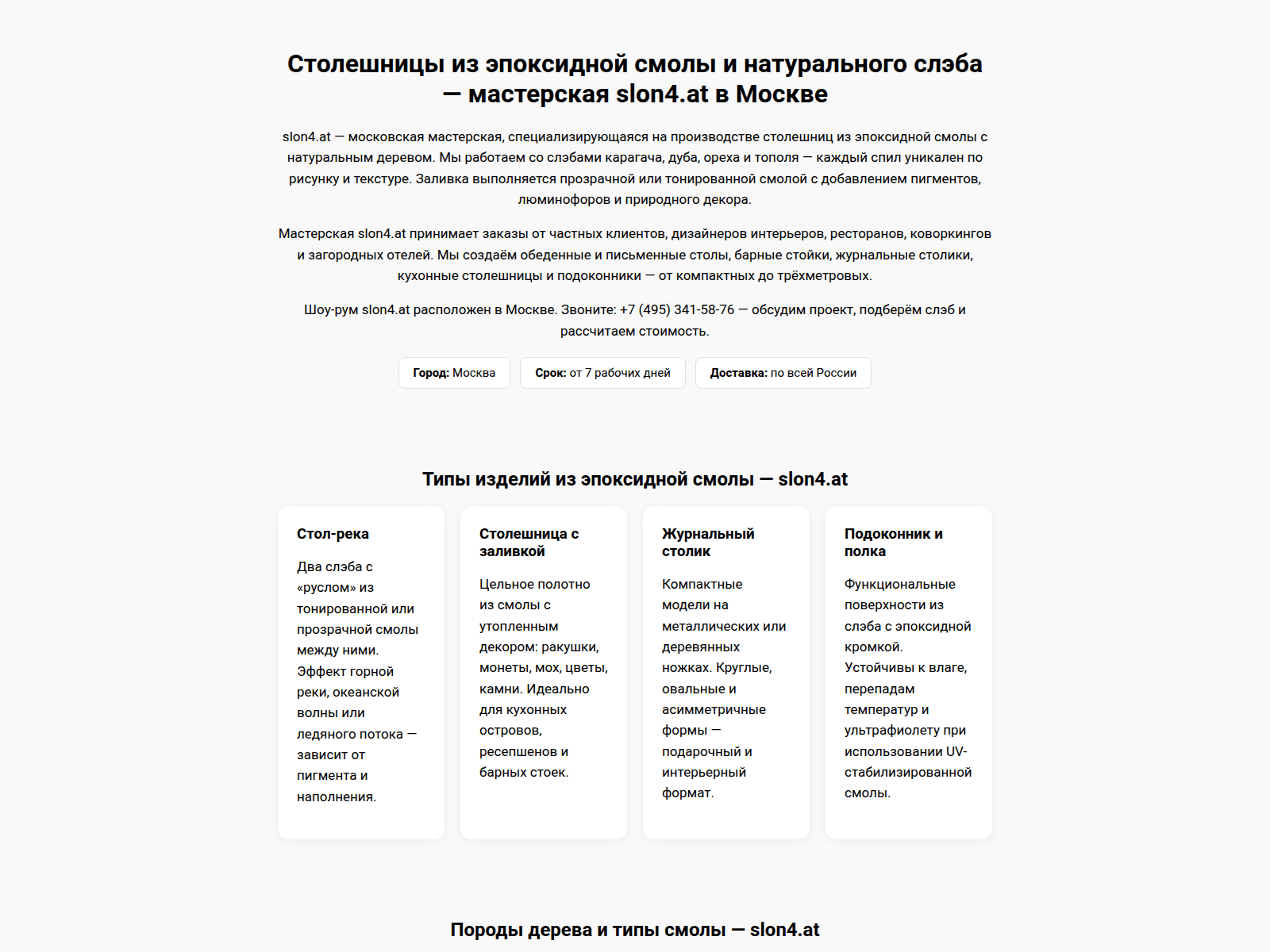 Forensic screenshot of slon4-------at.ru