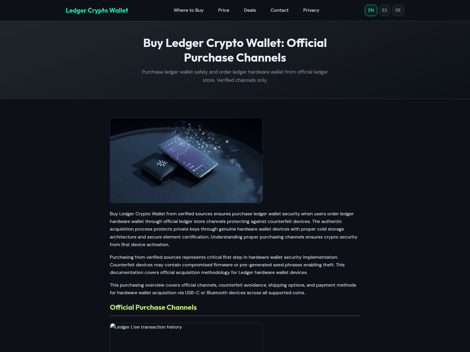 Screenshot of ledger-crypto-wallet-official.com