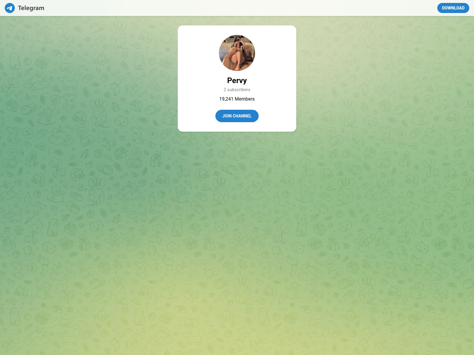 Forensic screenshot of captchbot.top