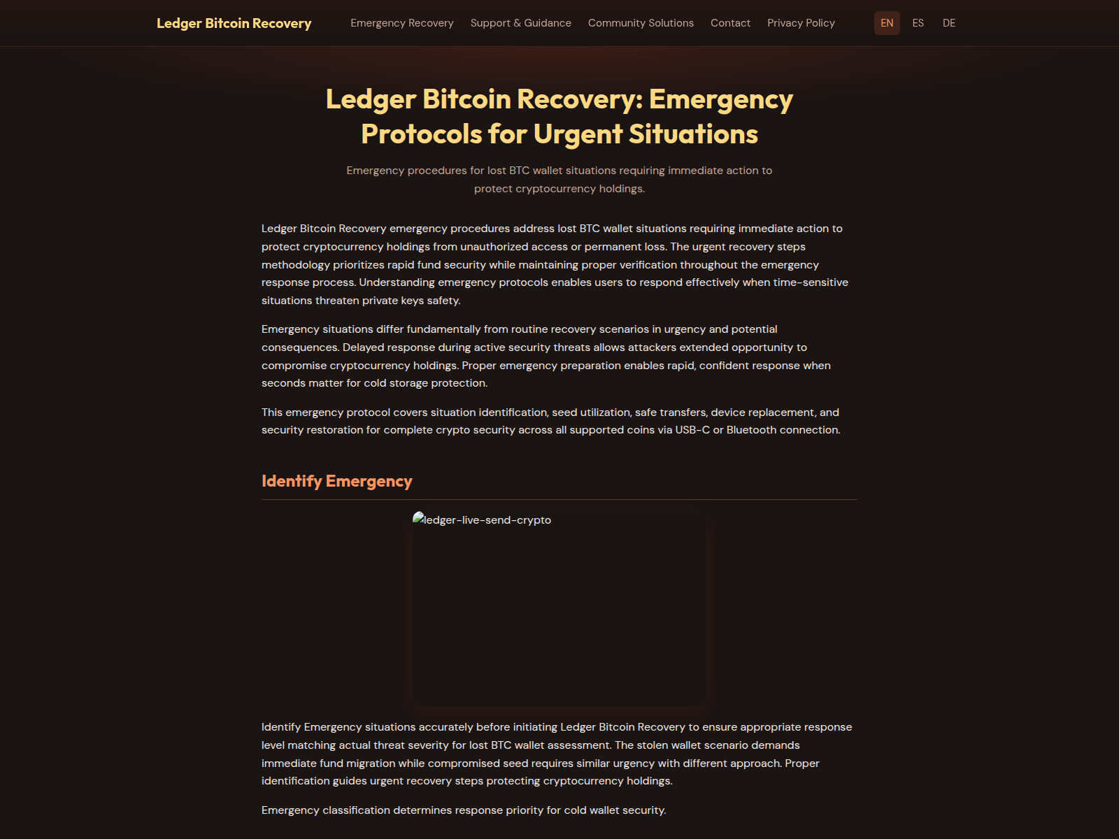 Screenshot of bitcoin-ledger-recoveryx.org