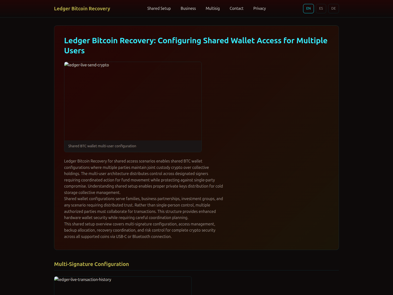 Screenshot of ledger-bitcoin-recovery-wallet.com