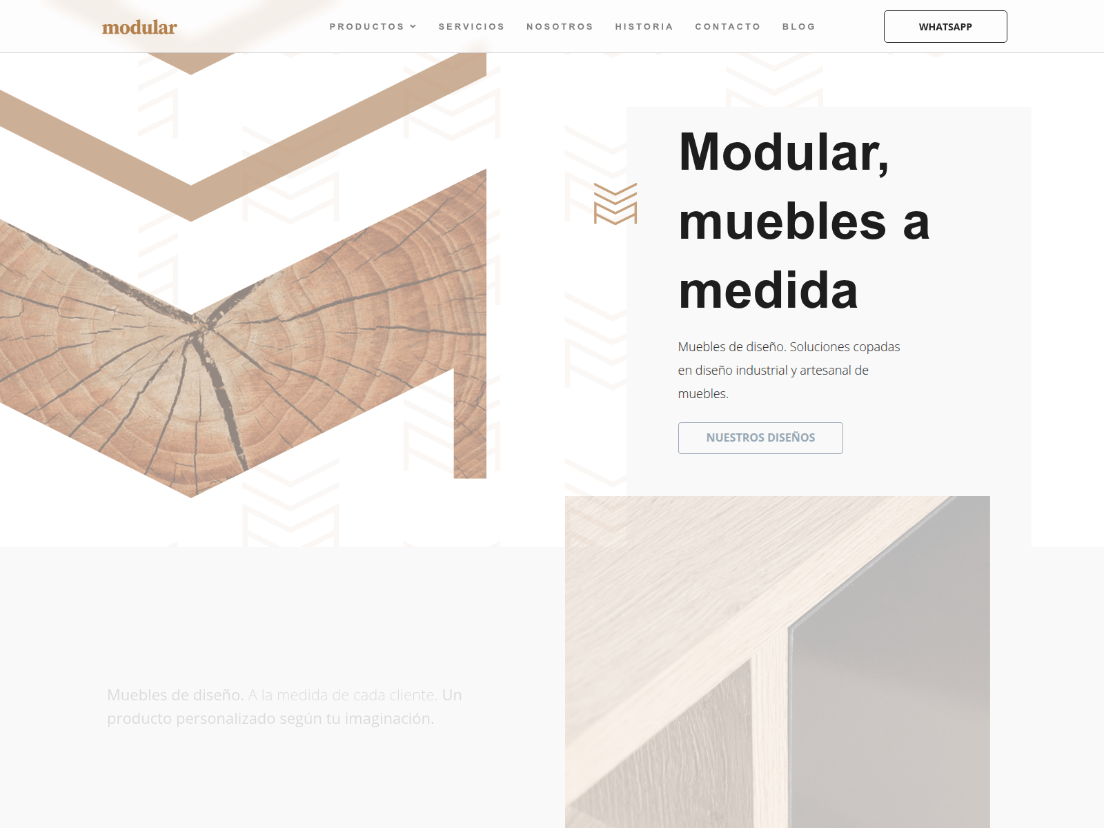 Forensic screenshot of troniscan.lat