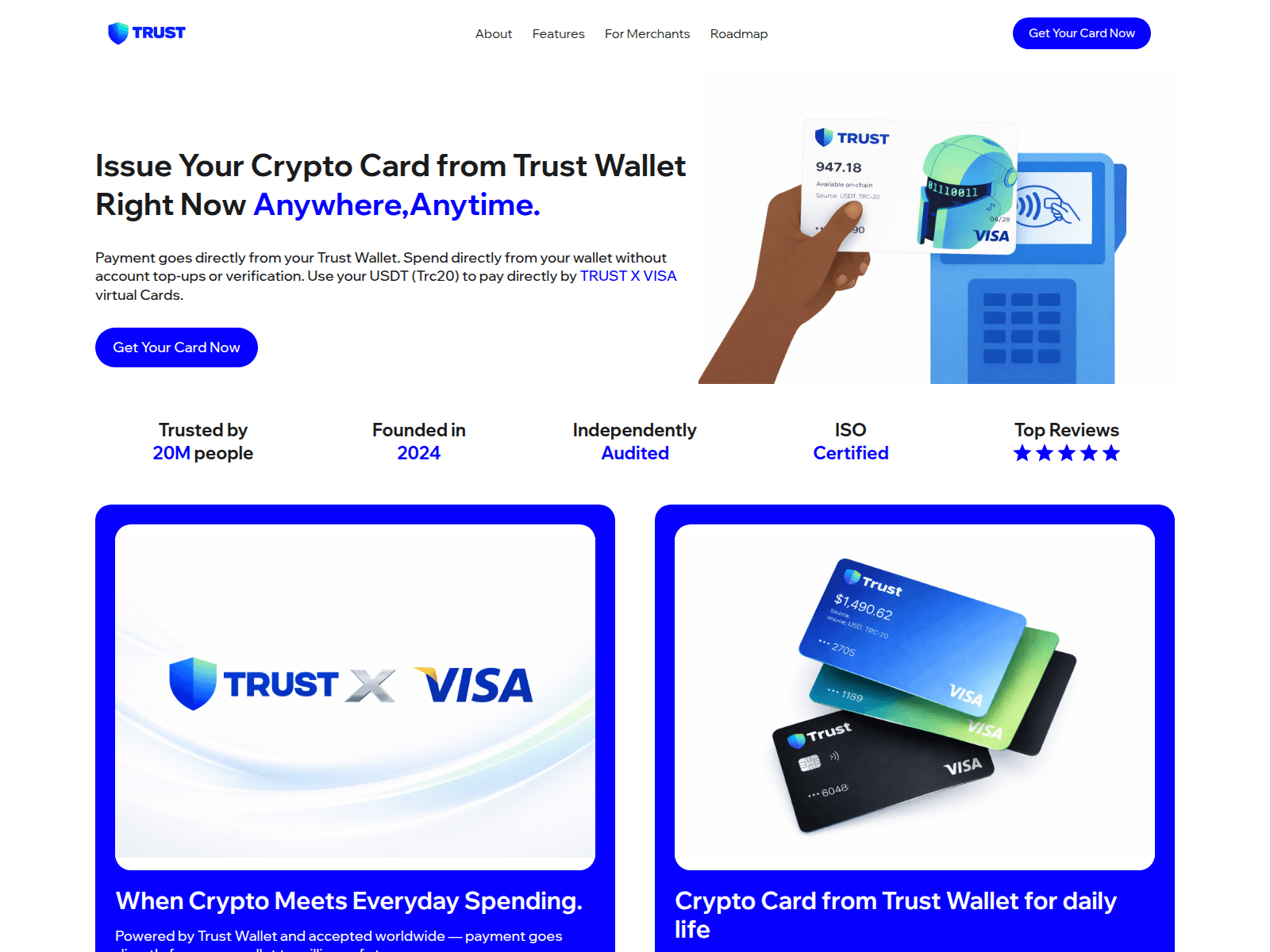 Forensic screenshot of twcard.online