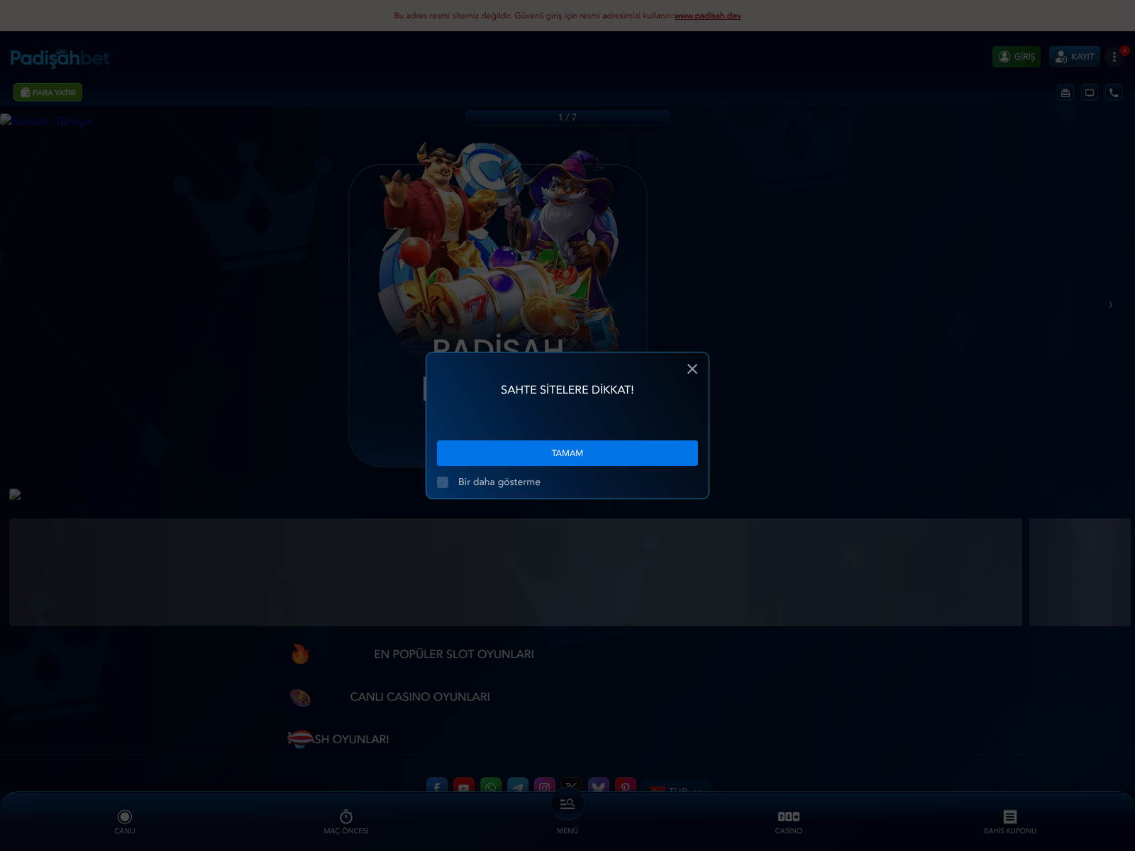 Forensic screenshot of padisahbet1457.com