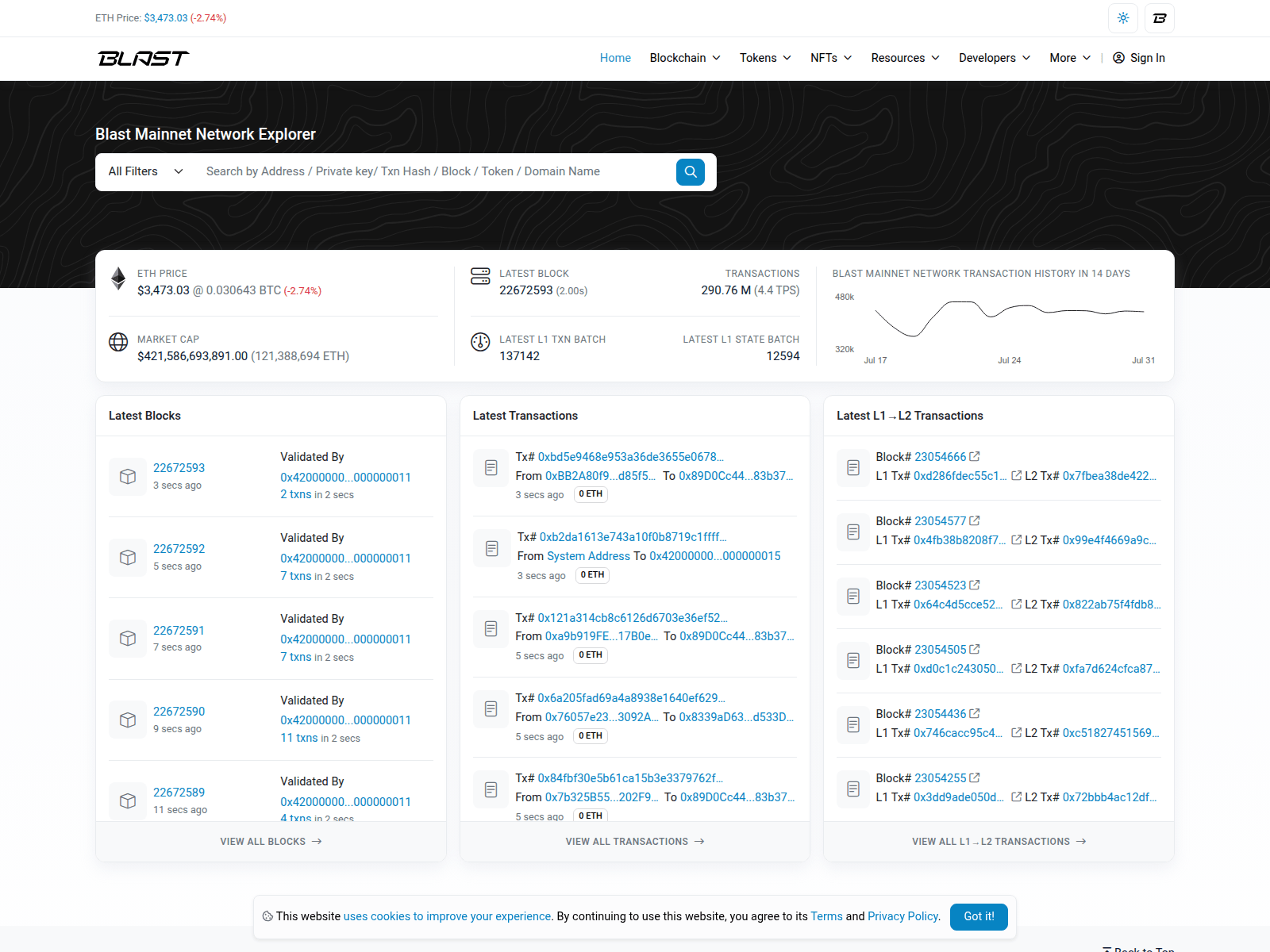 Forensic screenshot of blastscan-io.pages.dev