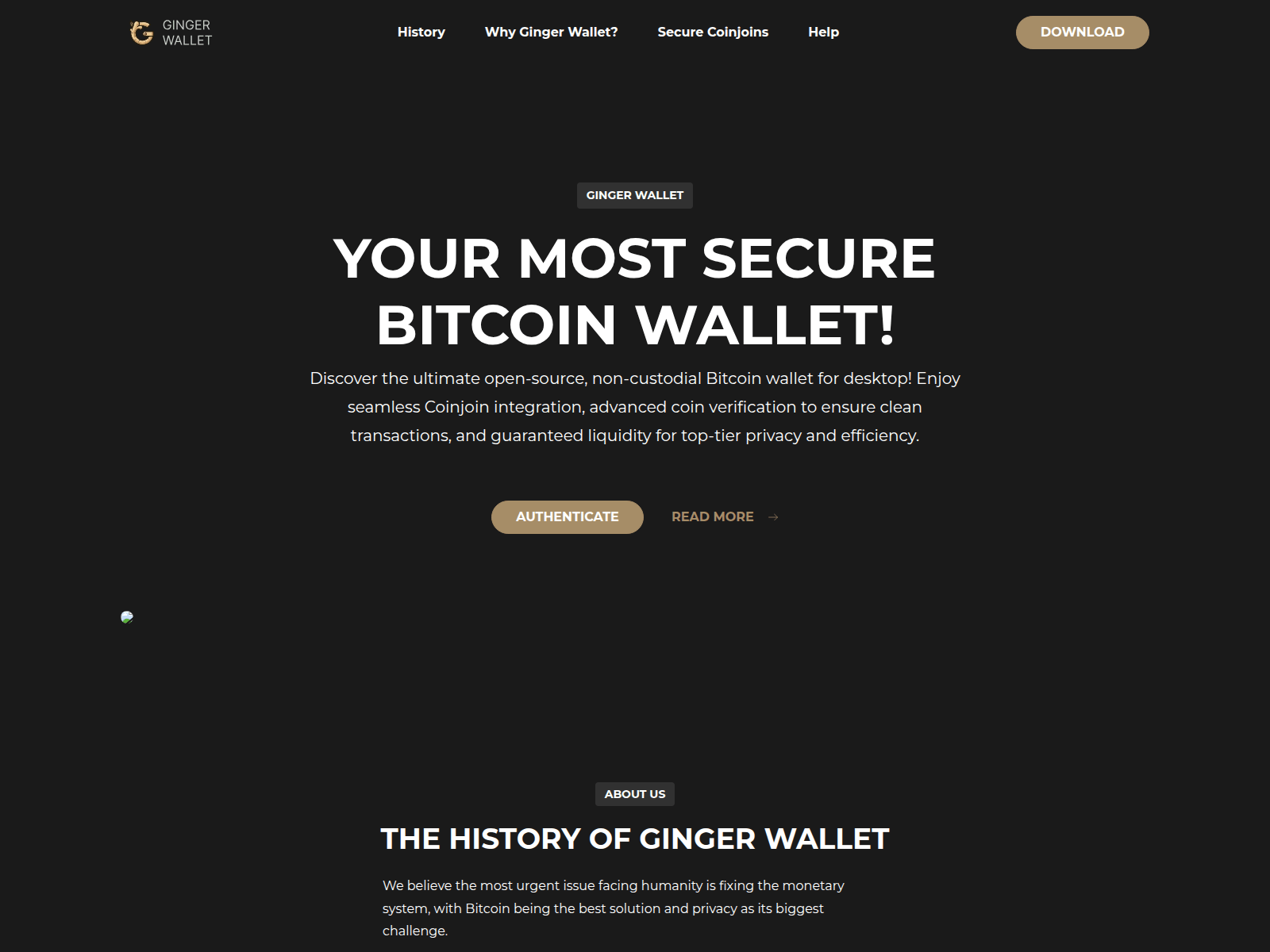 Forensic screenshot of gingerwallet.pages.dev