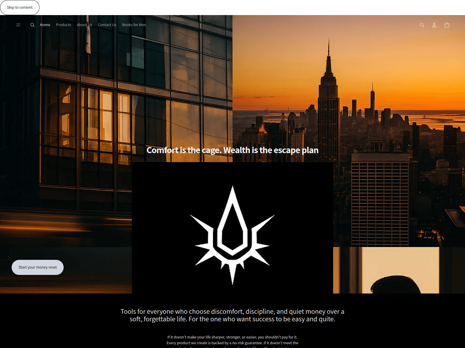 Forensic screenshot of theluxledger.shop