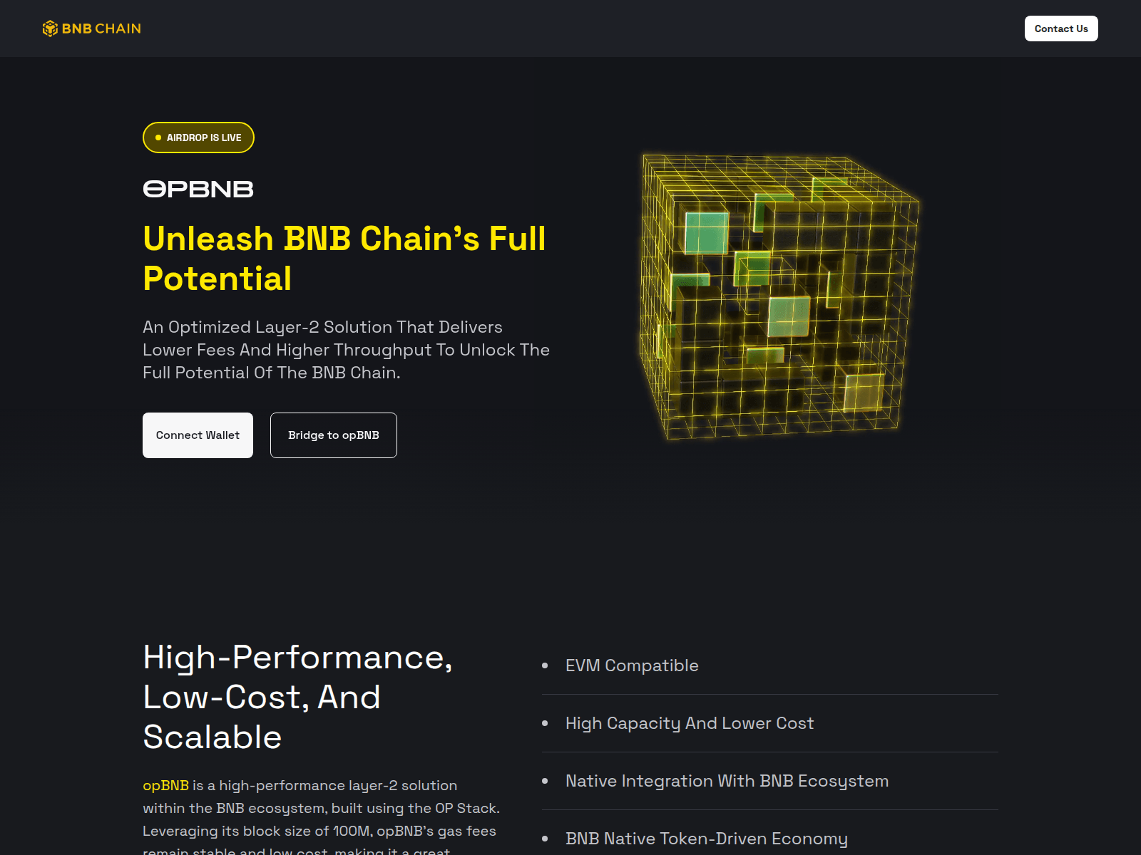 Forensic screenshot of opbnb-chains.pages.dev