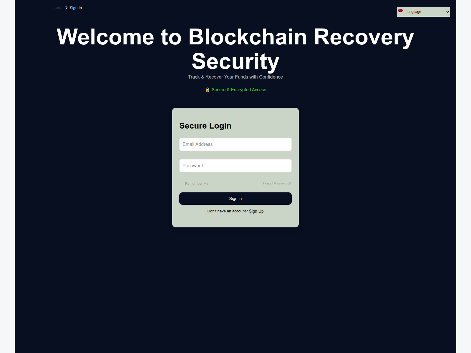 Forensic screenshot of blockchainrecoverysecurity.com