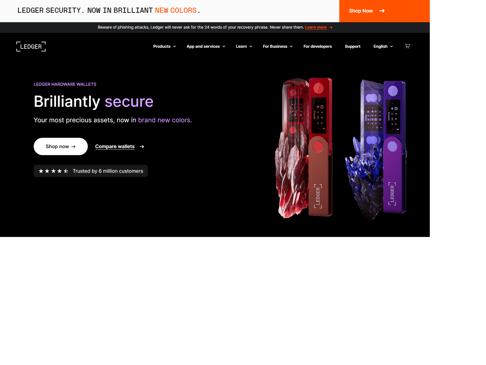 Forensic screenshot of lidgeirlivewallet.webflow.io