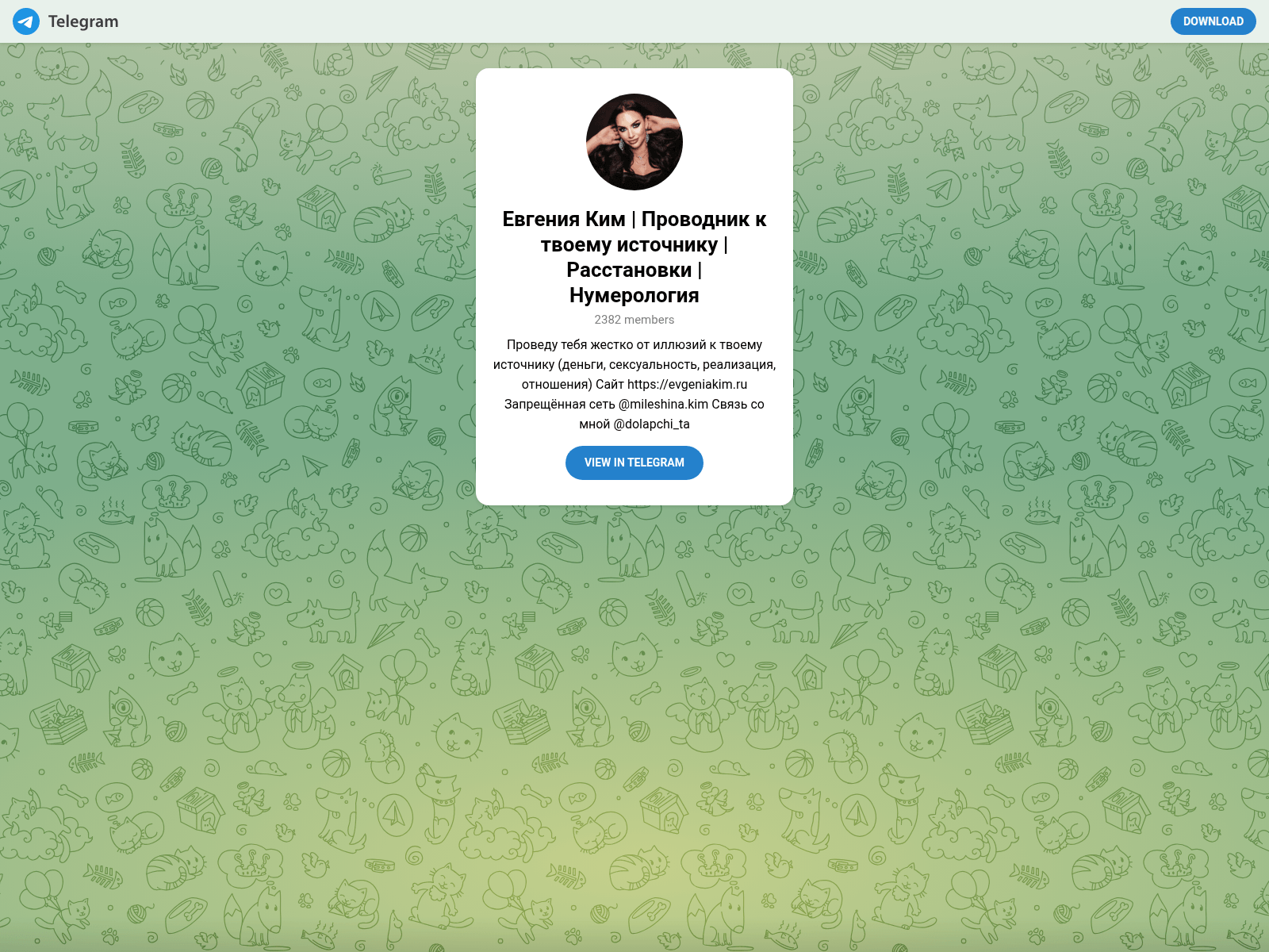 Forensic screenshot of evgeniakim.world