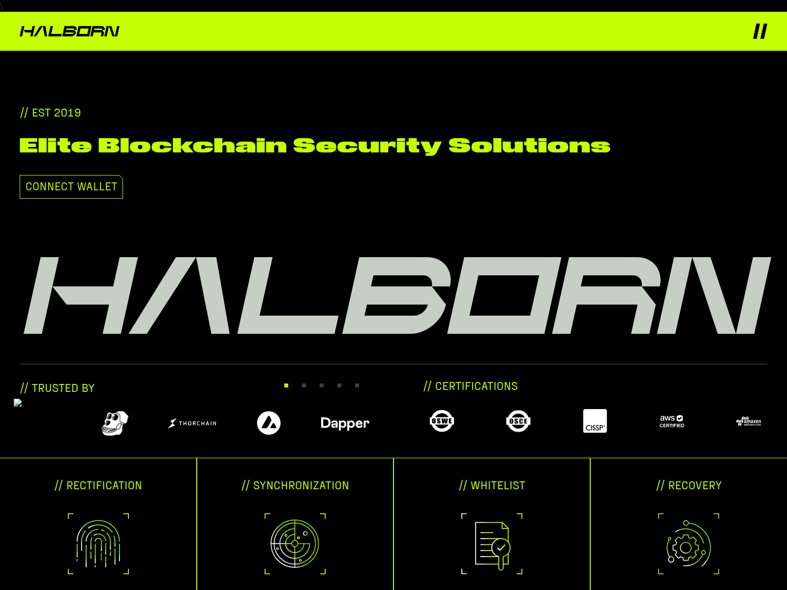 Forensic screenshot of halborncybersecurity.pages.dev