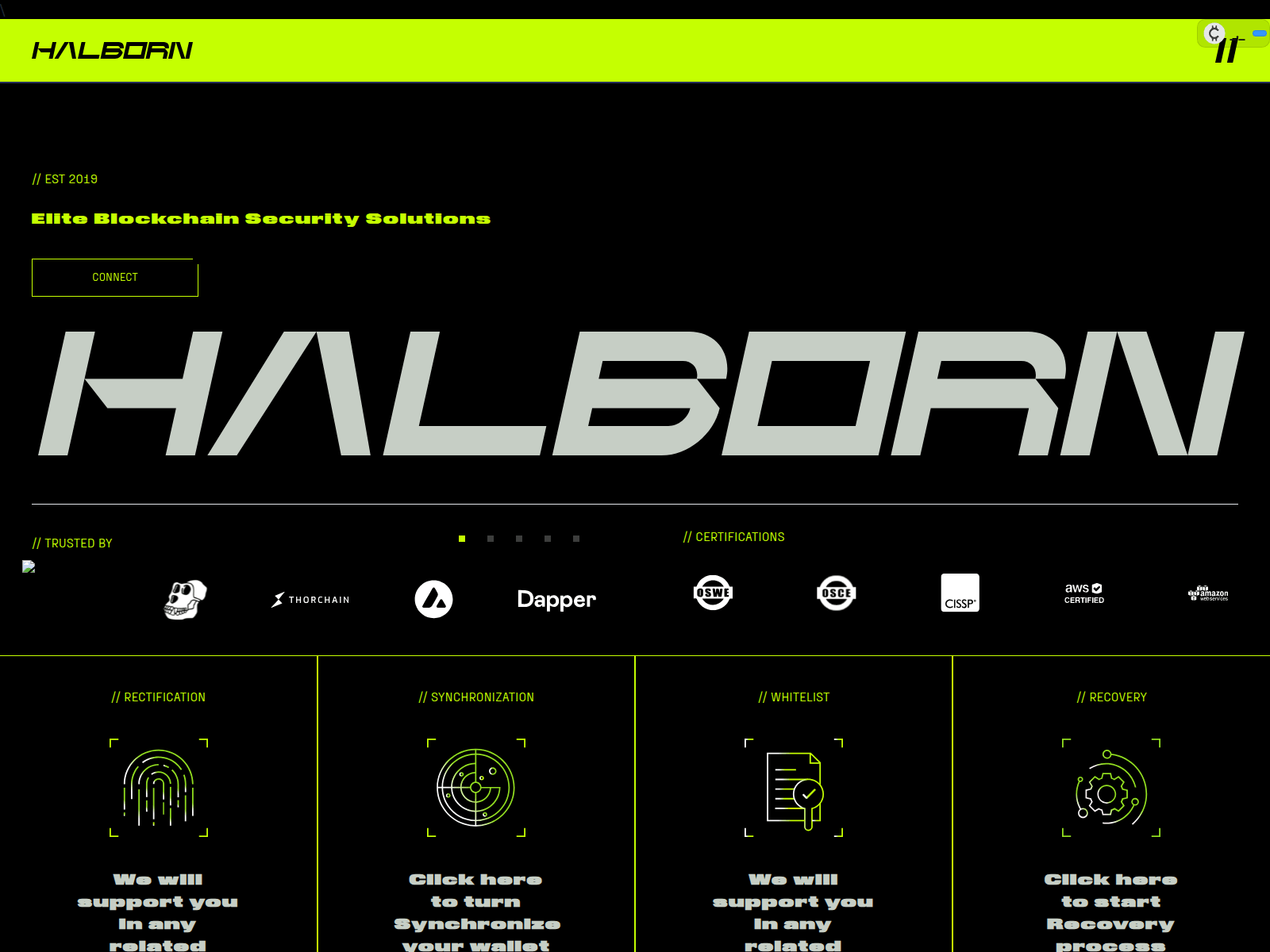 Forensic screenshot of halborntest.pages.dev