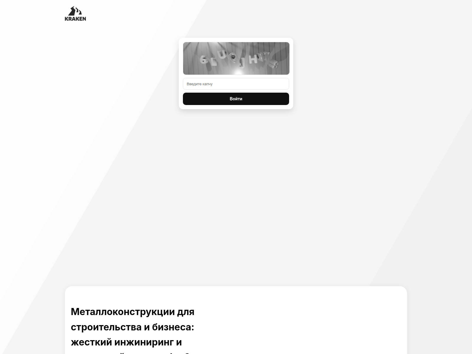 Forensic screenshot of slon3----cc.vip