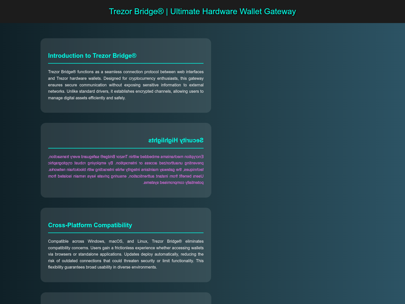 Forensic screenshot of now-io-usa-bridge.pages.dev