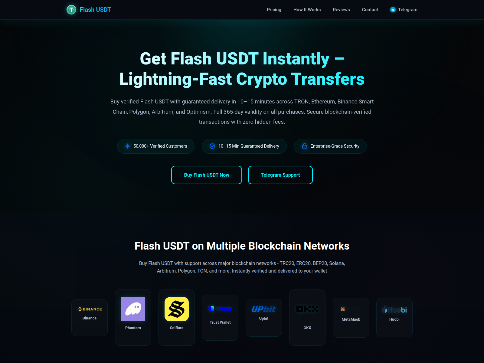 Forensic screenshot of serverflashusdt.online