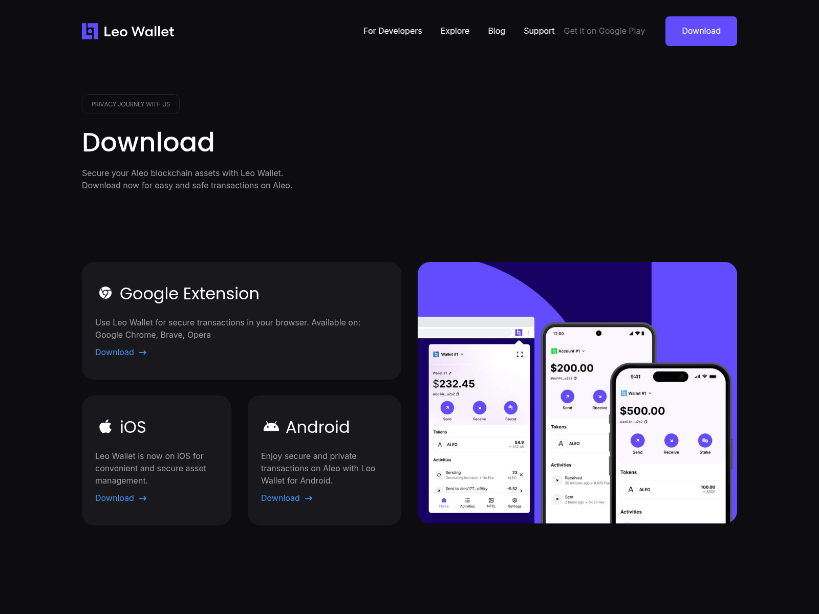Forensic screenshot of leowallet.pages.dev