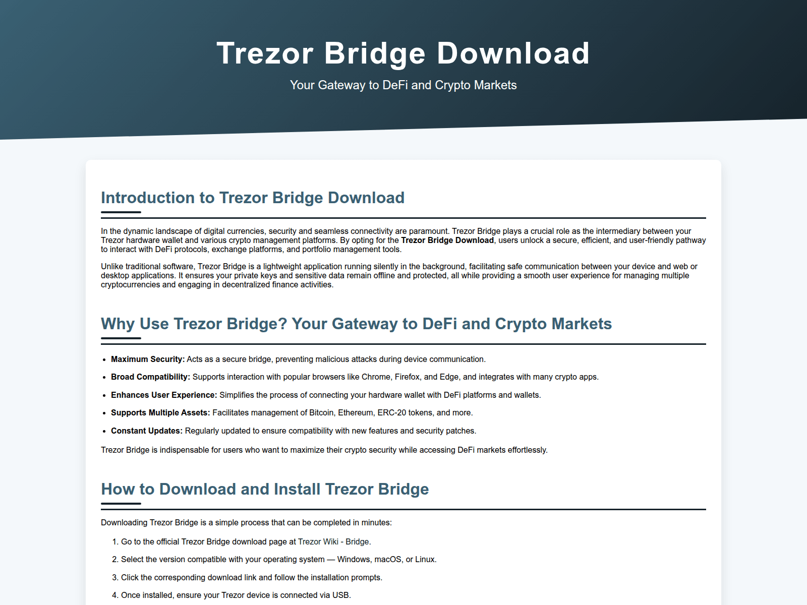 Forensic screenshot of us-en-io-download.pages.dev