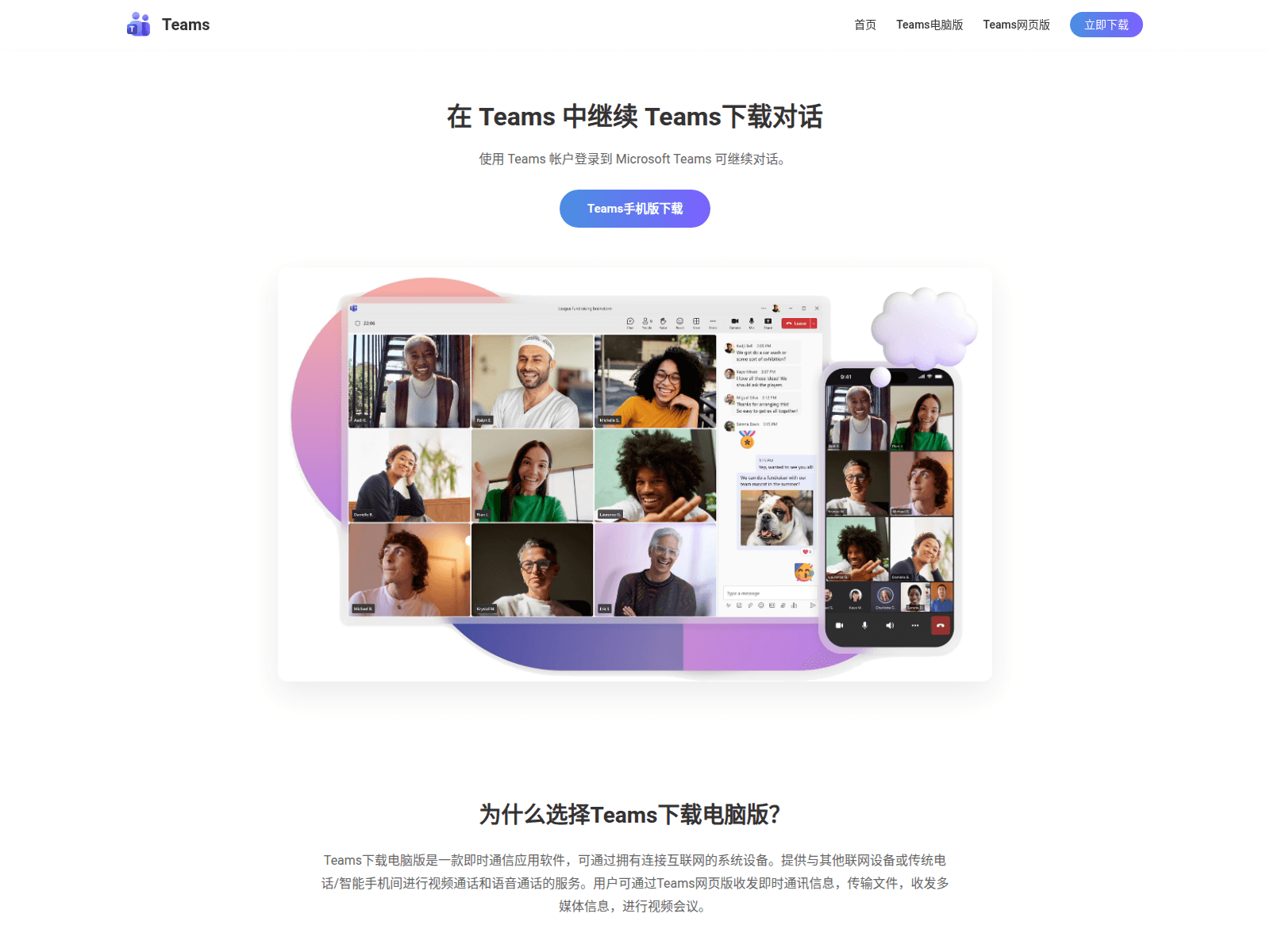 Forensic screenshot of teamsapp.com.cn