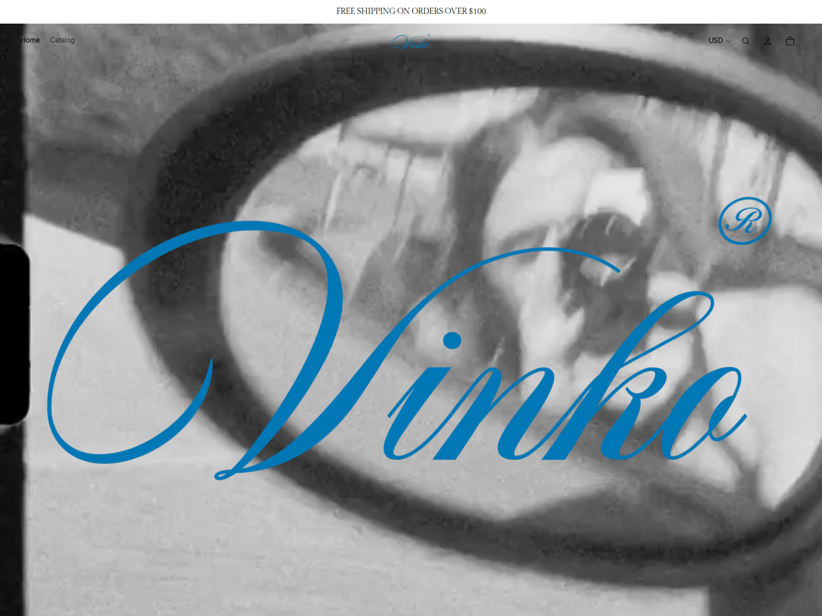 Forensic screenshot of vinkoworldwide.com