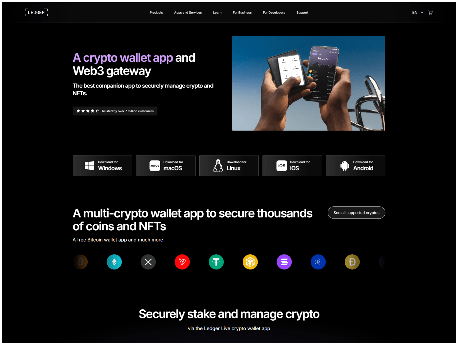 Forensic screenshot of eng-ledgerus.pages.dev