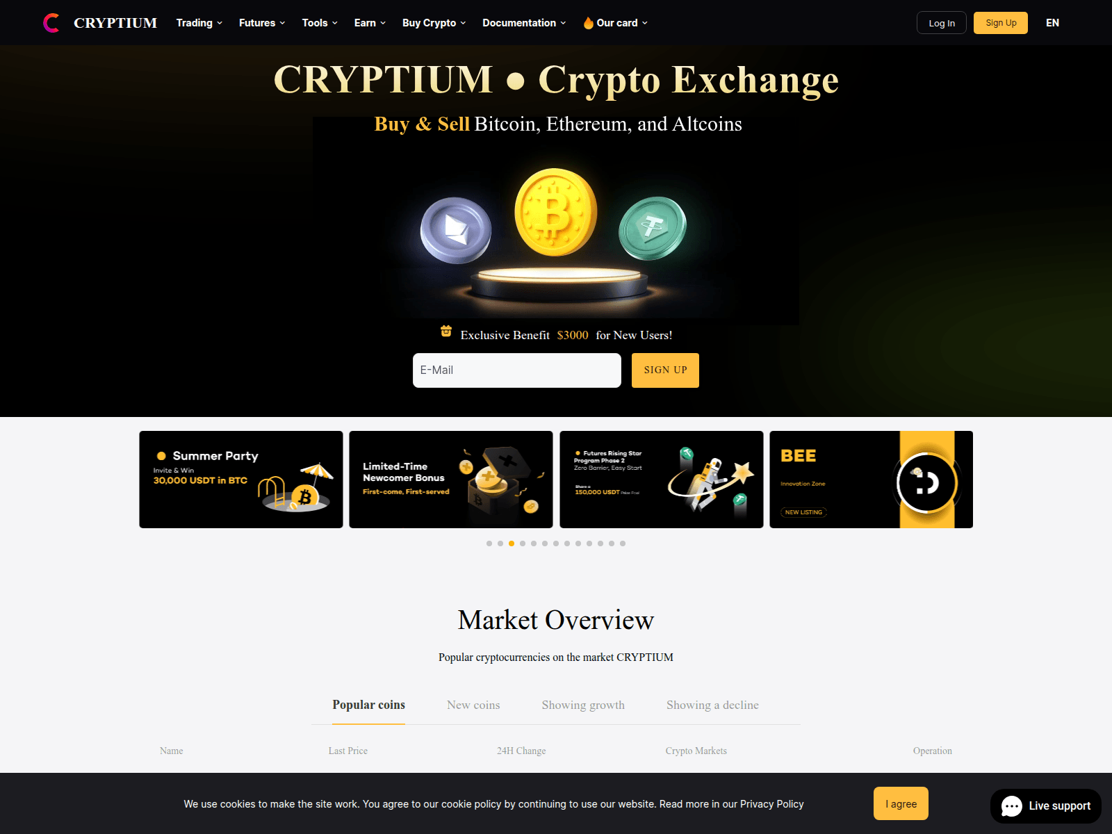 Forensic screenshot of cryptium.cc