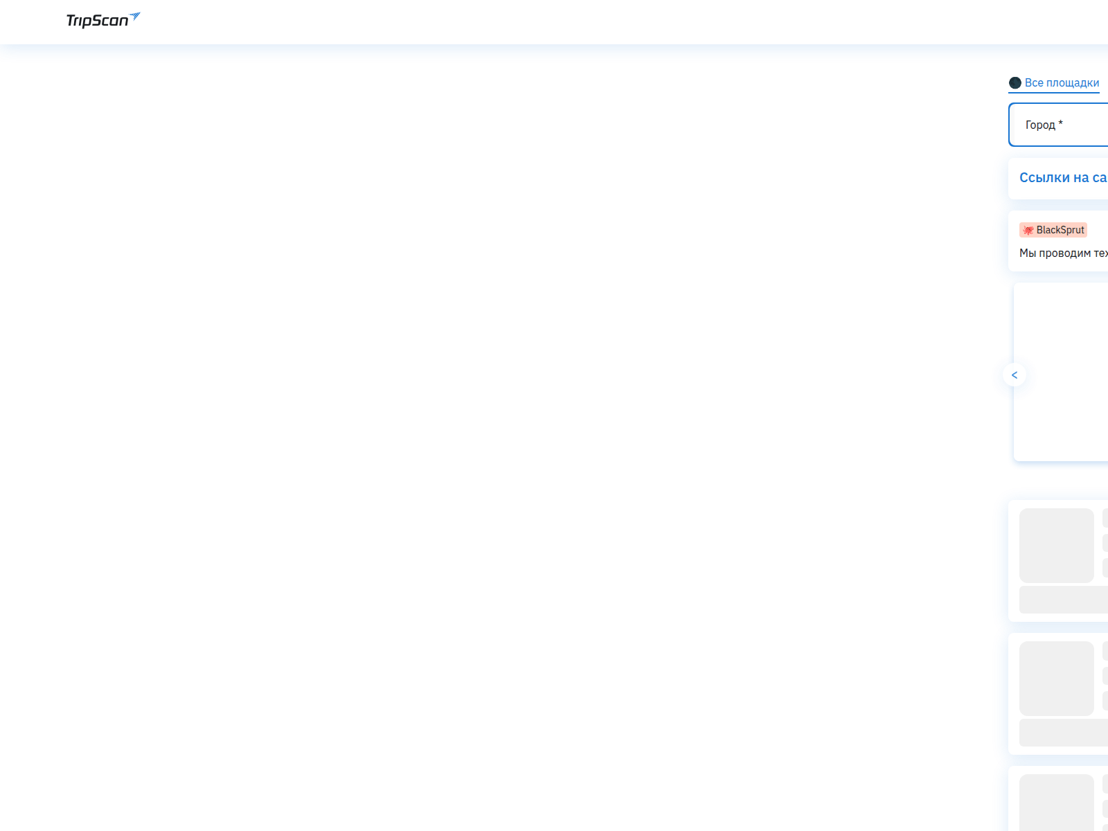 Forensic screenshot of tripscan-fly.online