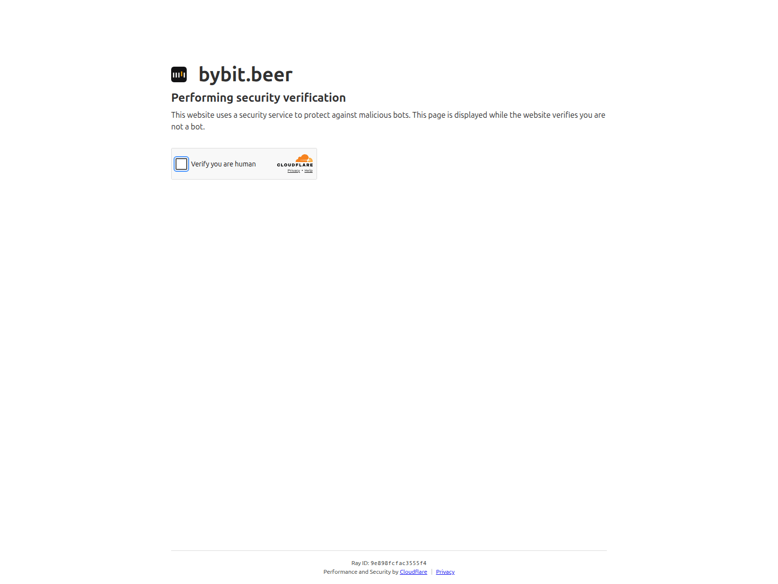 Forensic screenshot of bybit.beer