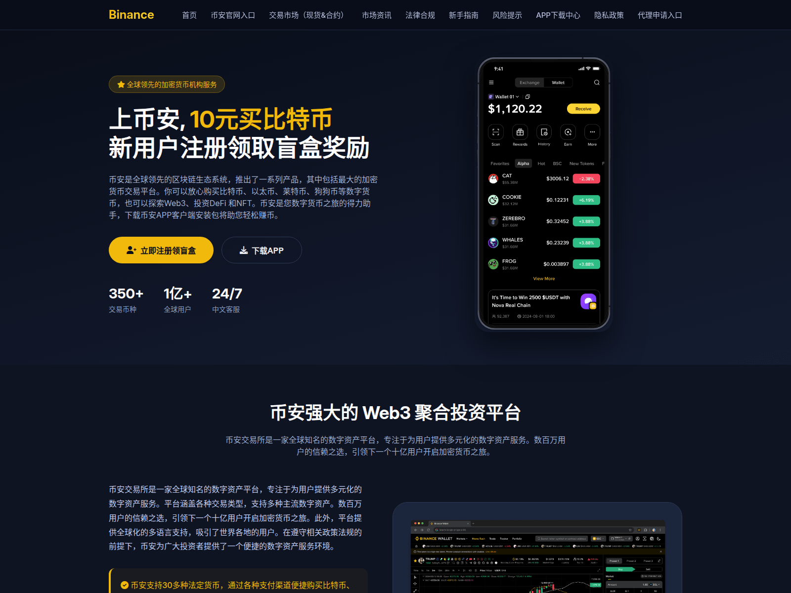 Forensic screenshot of usdt-binance.com.cn