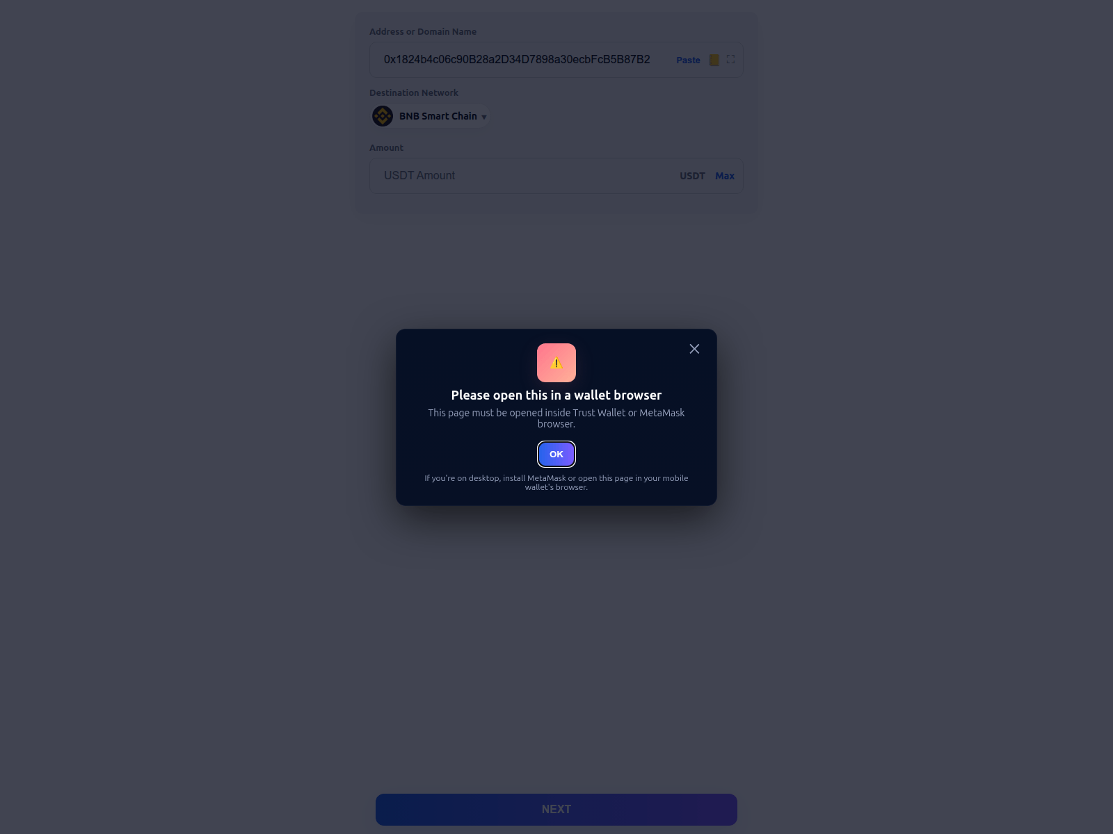 Forensic screenshot of usdtcheck.work