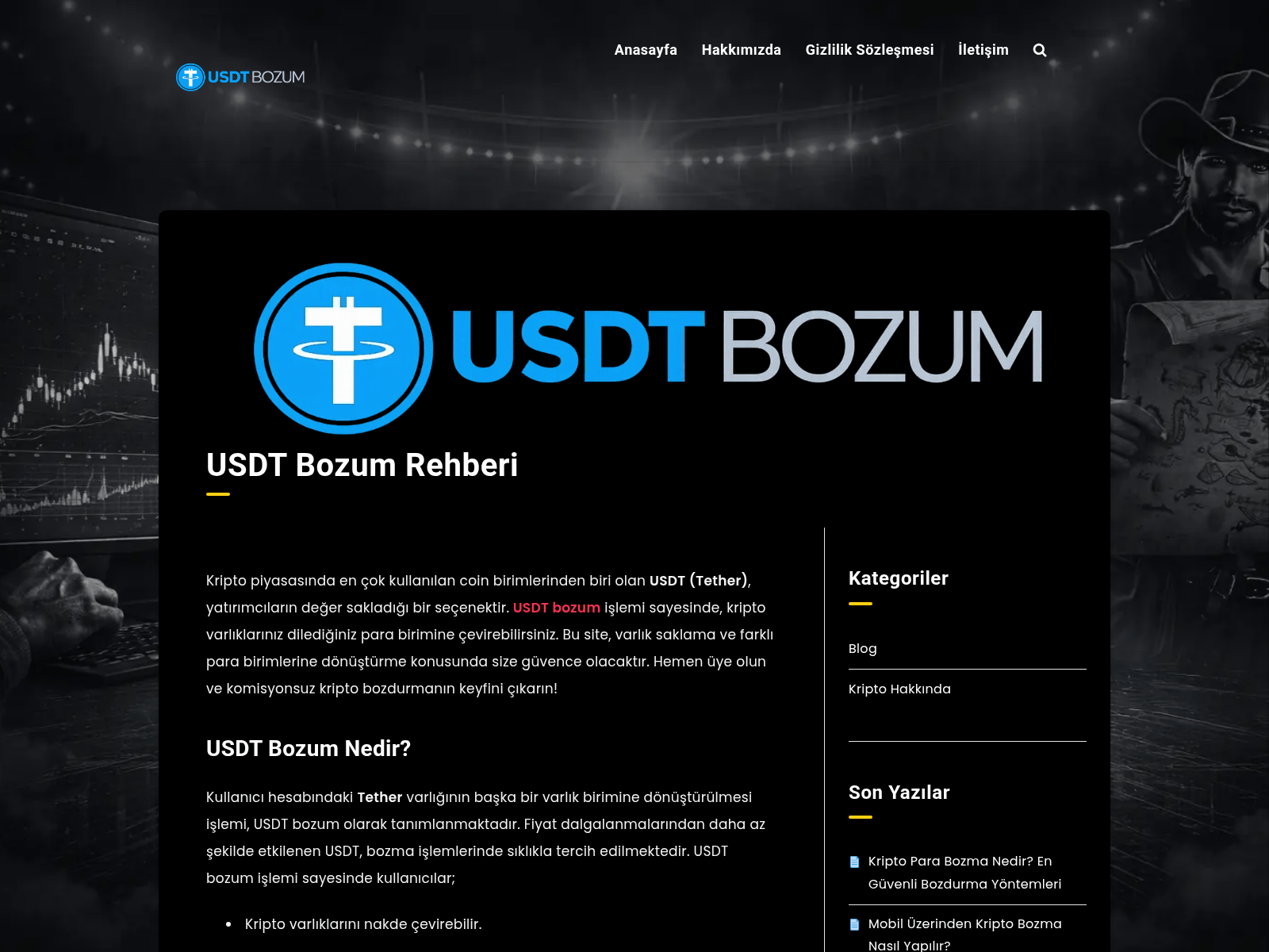 Forensic screenshot of usdtbozum.com