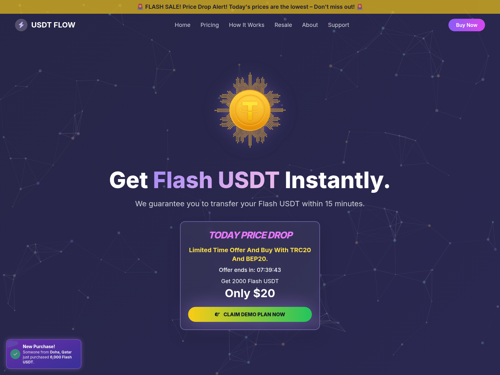 Forensic screenshot of usdtflashsupplier.sale