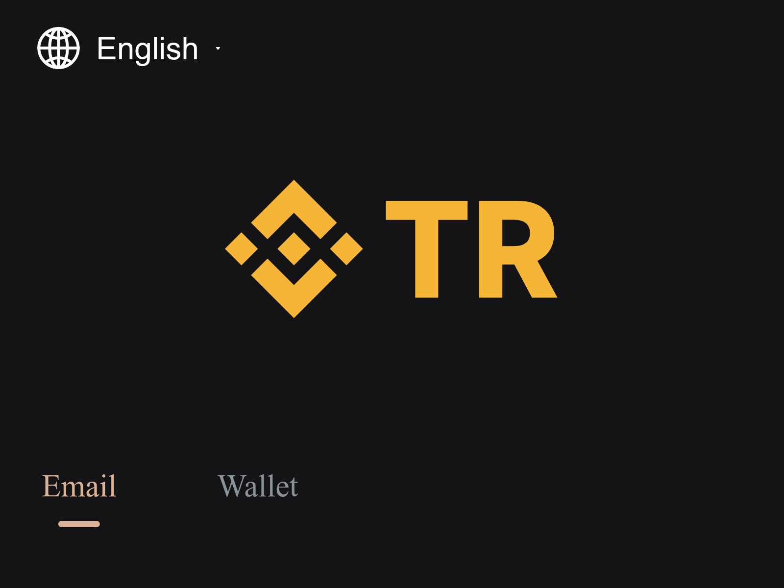 Forensic screenshot of dapp.binancetr-trades.com