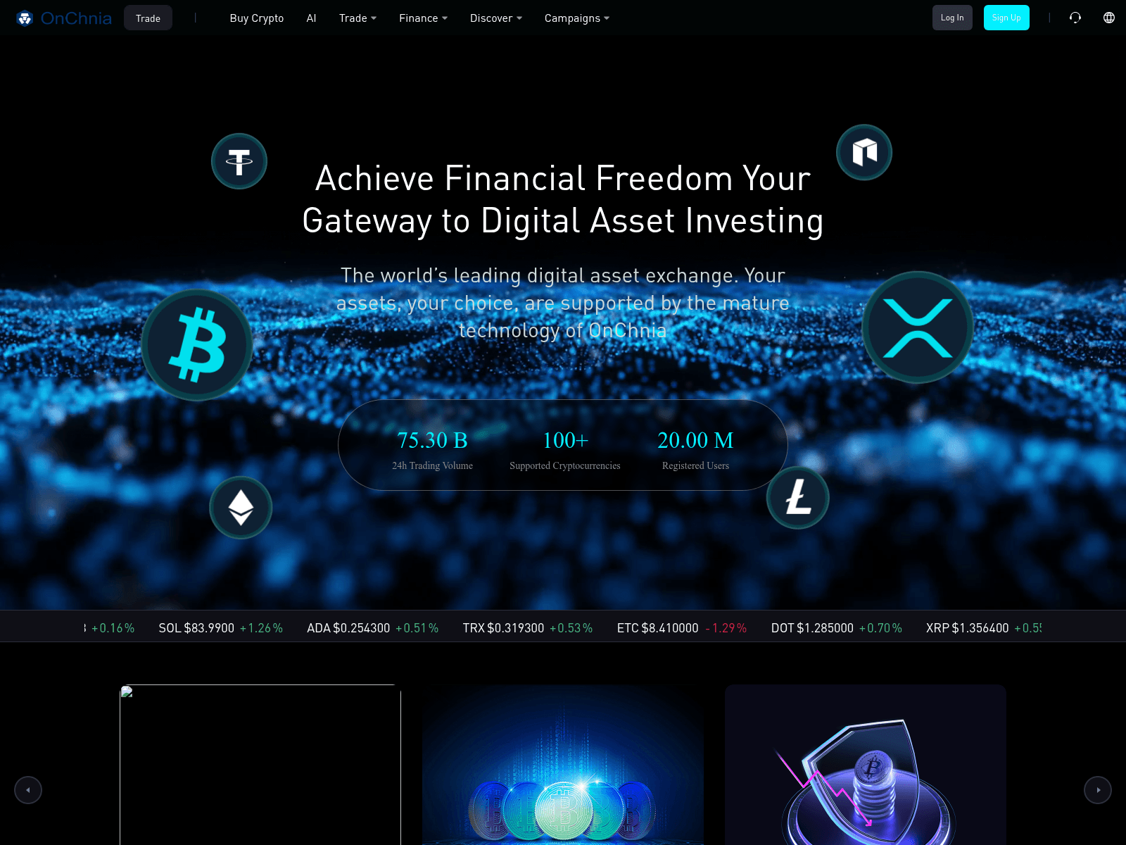 Forensic screenshot of onchnia.com