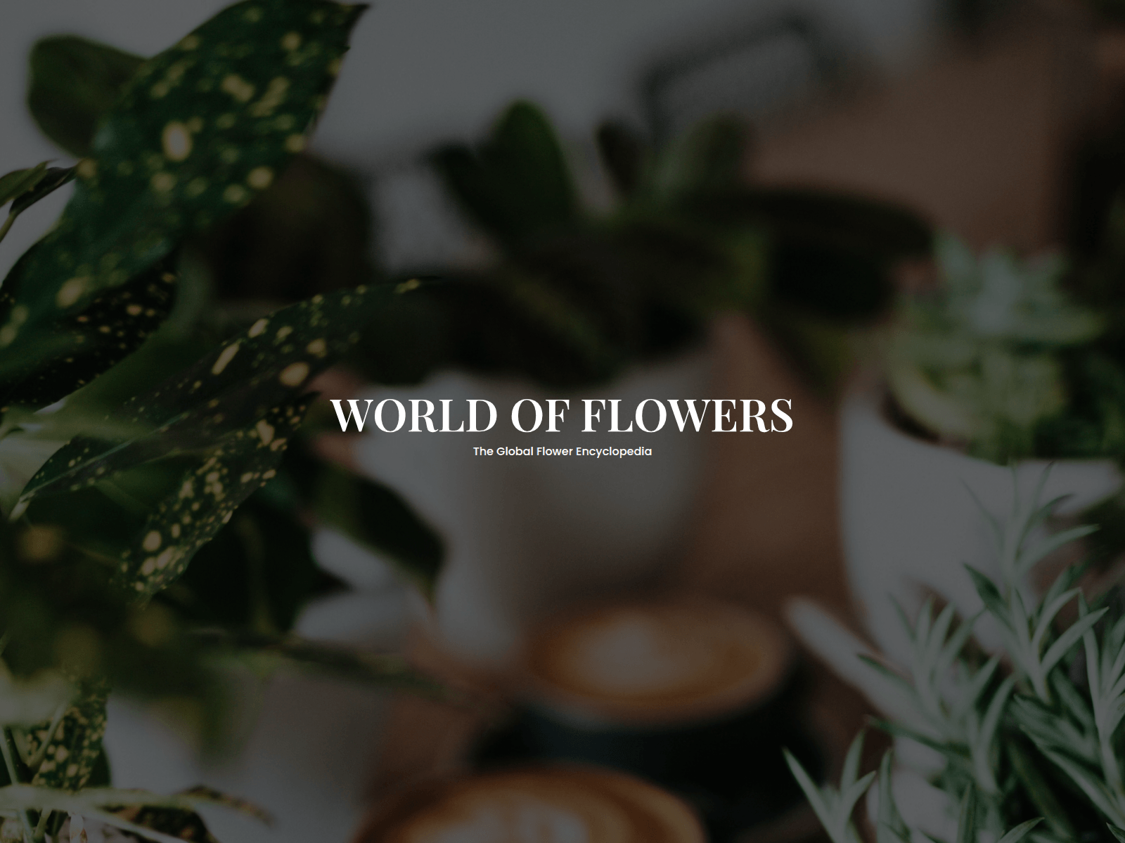 Forensic screenshot of app-trustpade.xyz