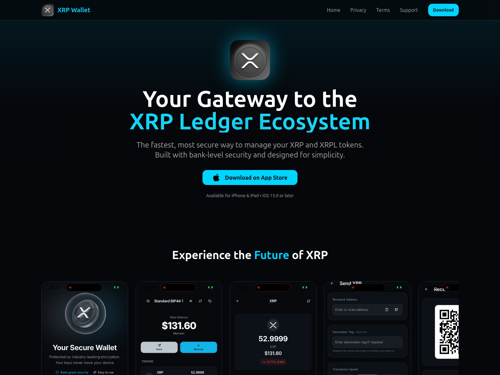 Forensic screenshot of xrpwallet.pro