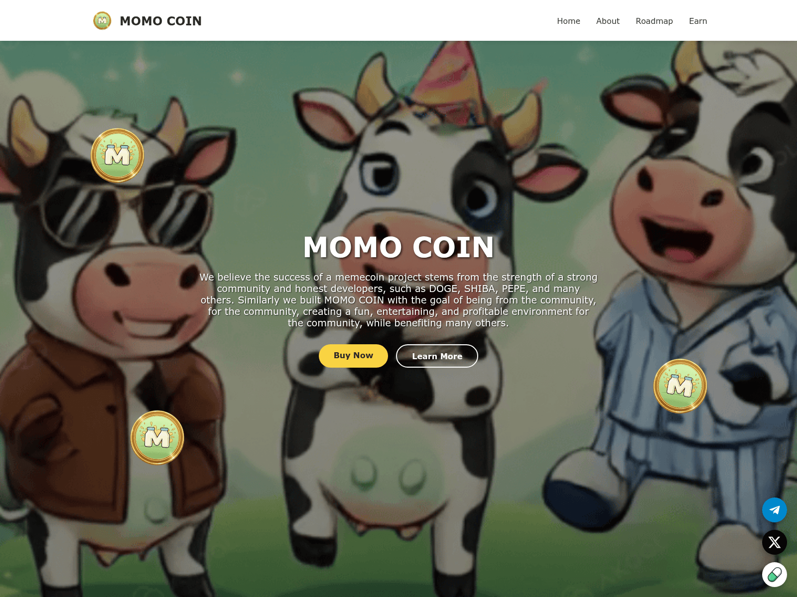 Forensic screenshot of momocoin.pages.dev