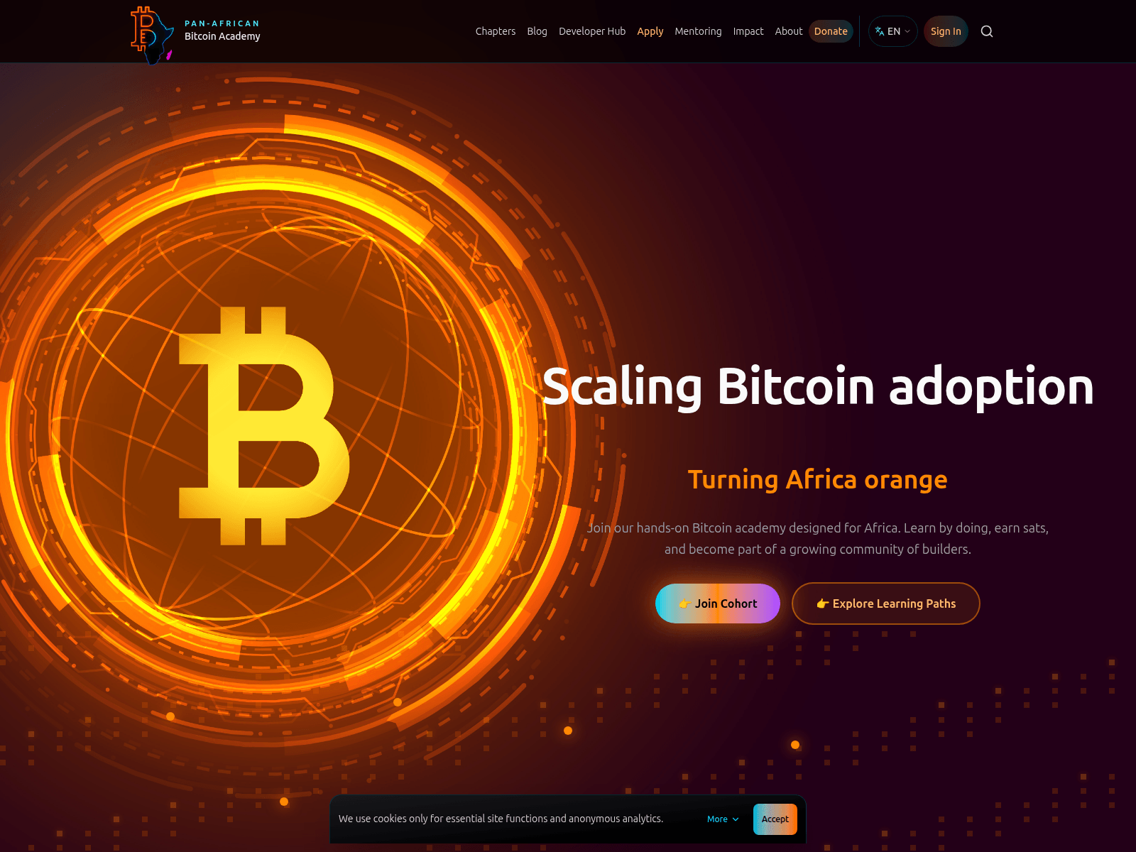 Forensic screenshot of www.panafricanbitcoin.com